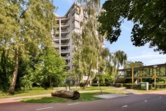 Gouden Leeuw 307 - 2.jpg