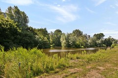 Gouden Leeuw 307 - 24.jpg