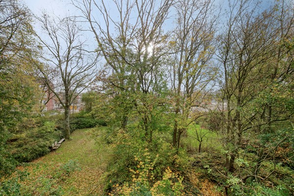 Medium property photo - Willem Molengraaffstraat 20-1, 1063 LK Amsterdam