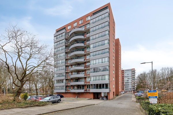 Cornelis van Rijplantsoen 8, 1063MC Amsterdam