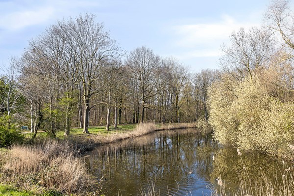 Medium property photo - Aalbersestraat 1B, 1067 GB Amsterdam