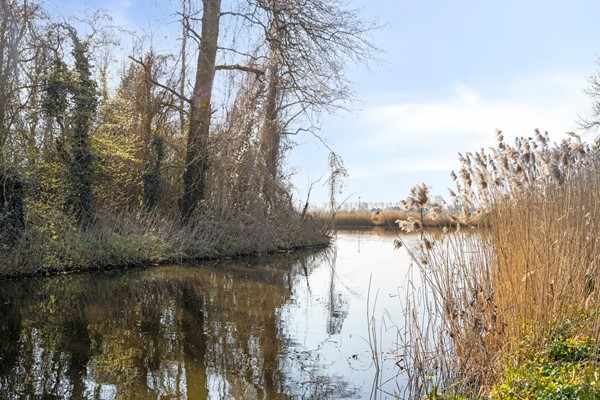 Medium property photo - Aalbersestraat 1B, 1067 GB Amsterdam