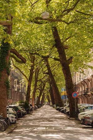 Medium property photo - Okeghemstraat 9-3, 1075 PJ Amsterdam