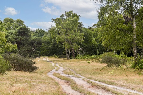 Medium property photo - Admiraal de Ruyterlaan 155, 1215 LZ Hilversum