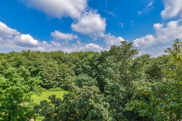 Medium property photo - Nachtwachtlaan 65, 1058 EB Amsterdam