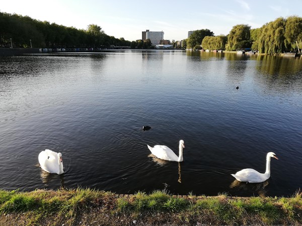 Medium property photo - Nachtwachtlaan 65, 1058 EB Amsterdam