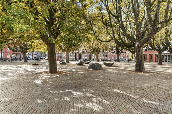 Medium property photo - Vrolikstraat 248H, 1092 TW Amsterdam