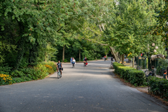 New for sale: Eerste Schinkelstraat 12-2, 1075 TX Amsterdam