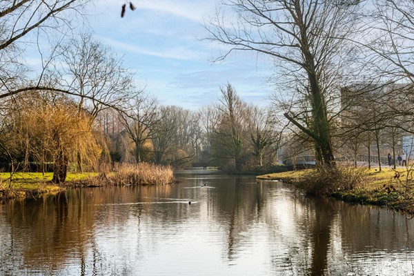 Medium property photo - Diezestraat 9H, 1078 JL Amsterdam