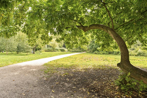 Medium property photo - Pieter Aertszstraat 110-4, 1074 VT Amsterdam