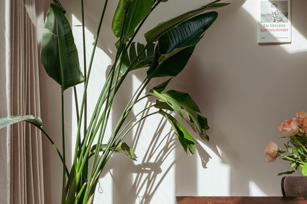 Medium property photo - John Franklinstraat 67H, 1056 SZ Amsterdam