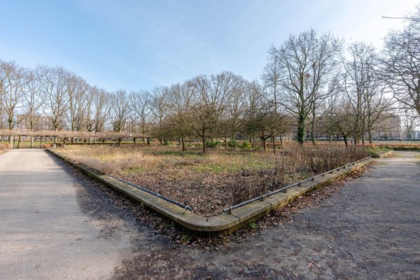 Medium property photo - John Franklinstraat 67H, 1056 SZ Amsterdam