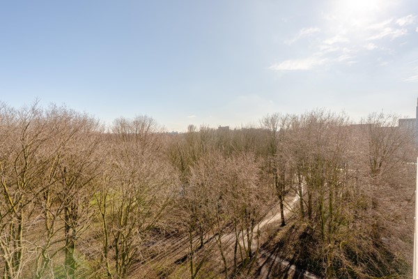 Medium property photo - Nachtwachtlaan 169, 1058 EG Amsterdam