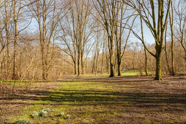 Medium property photo - Nachtwachtlaan 169, 1058 EG Amsterdam