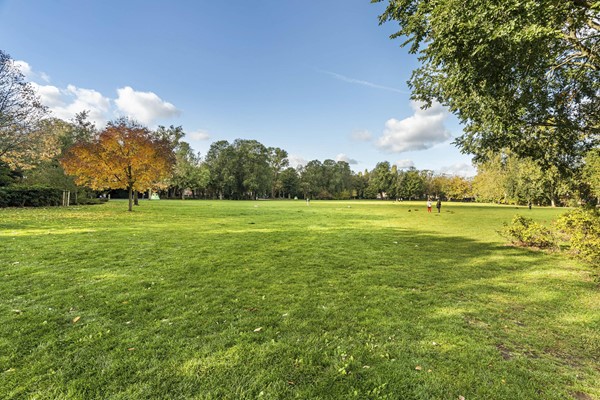 Medium property photo - Vrolikstraat 248H, 1092 TW Amsterdam