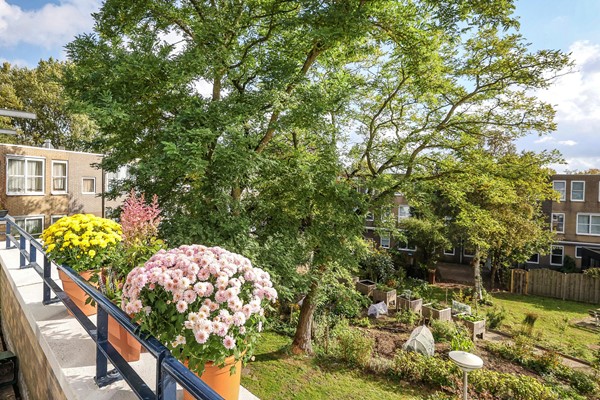 Medium property photo - Kotteraarstraat 28, 1033 MC Amsterdam