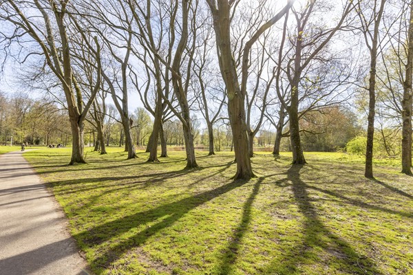 Medium property photo - Nachtwachtlaan 332, 1058 EM Amsterdam