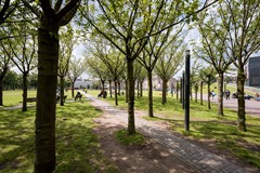 New for sale: Paulus Potterstraat 40-3, 1071 DB Amsterdam