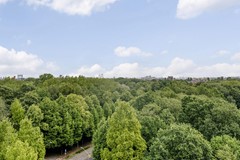 For sale: Nachtwachtlaan, 1058 ES Amsterdam