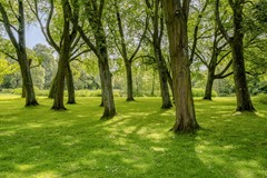 For sale: Nachtwachtlaan, 1058 ES Amsterdam