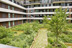 Rented: Elizabeth Anscombestraat 309, 1062 LE Amsterdam