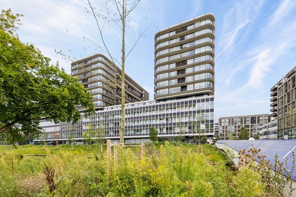 Elizabeth Anscombestraat 557, 1062LE Amsterdam