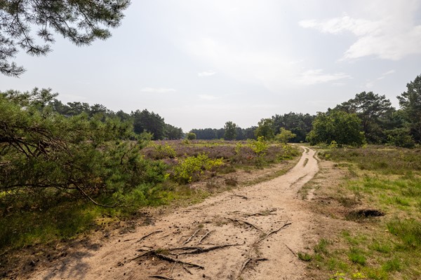 Medium property photo - Dorotheagaarde 60, 1403 JW Bussum