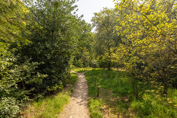 Medium property photo - Dorotheagaarde 60, 1403 JW Bussum