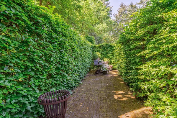 Medium property photo - Eikenlaan 2, 7313 AK Apeldoorn