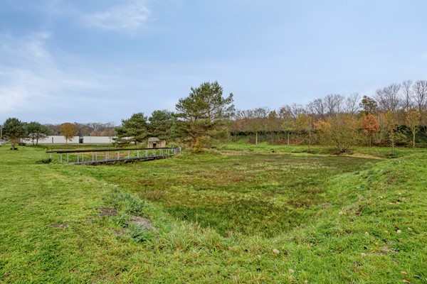 Medium property photo - Ankeveenstraat 86, 5036 CC Tilburg