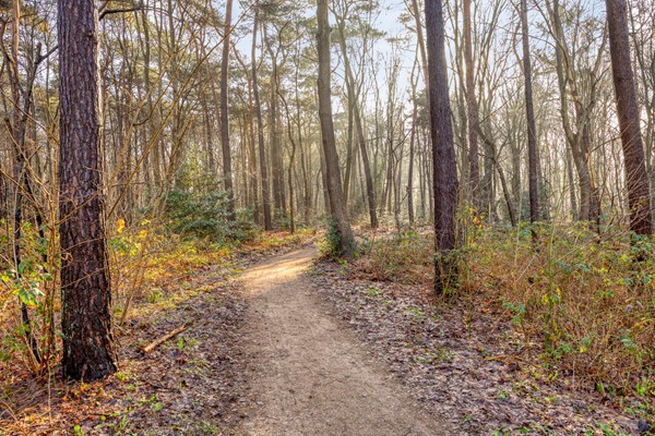 Medium property photo - Sporenring 250, 5053 EZ Goirle