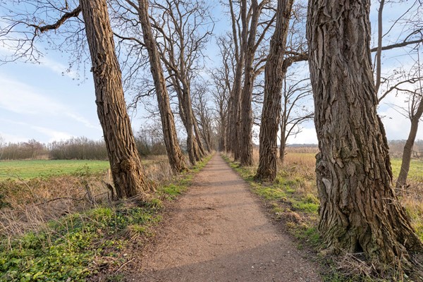 Medium property photo - Tilburgseweg 4, 5051 AH Goirle