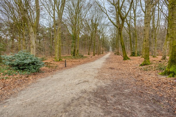 Medium property photo - Kijkduinlaan 7, 5045 PE Tilburg