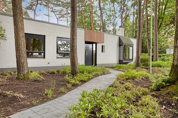 object_img