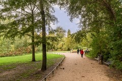 Sarphatipark-4.jpg