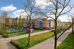 Hildo Kropplein 49-01.jpg