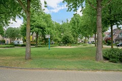 60.jpg