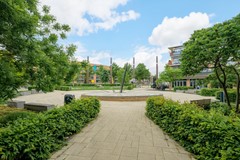 65.jpg