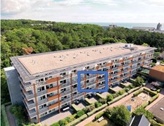 kader nummer 37 .jpg