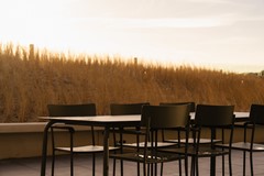 20251215 - Elements Terschelling  - © Chantal Arnts-326.jpg