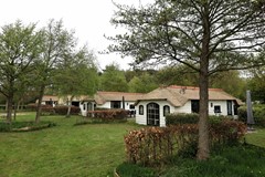 IMG_6206.JPG