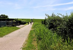 AIMG_7590.jpg