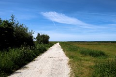 AIMG_7589.jpg