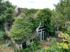 DJI_0768.JPG