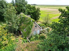 DJI_0782.JPG