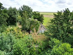 DJI_0787.JPG
