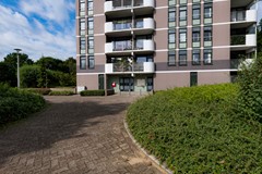 OBJ 2025 GHHE 0805 001.jpeg