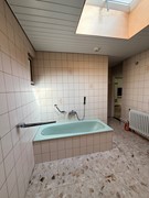 IMG_2523.jpeg