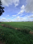IMG_2515.jpeg