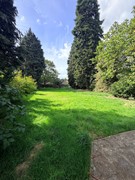 IMG_2500.jpeg